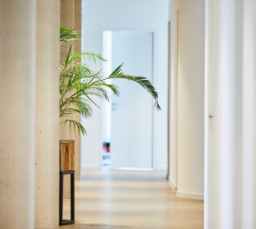 Hallway at the Egoditor office